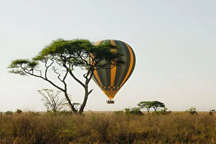 Hot Air Balloon Safaris