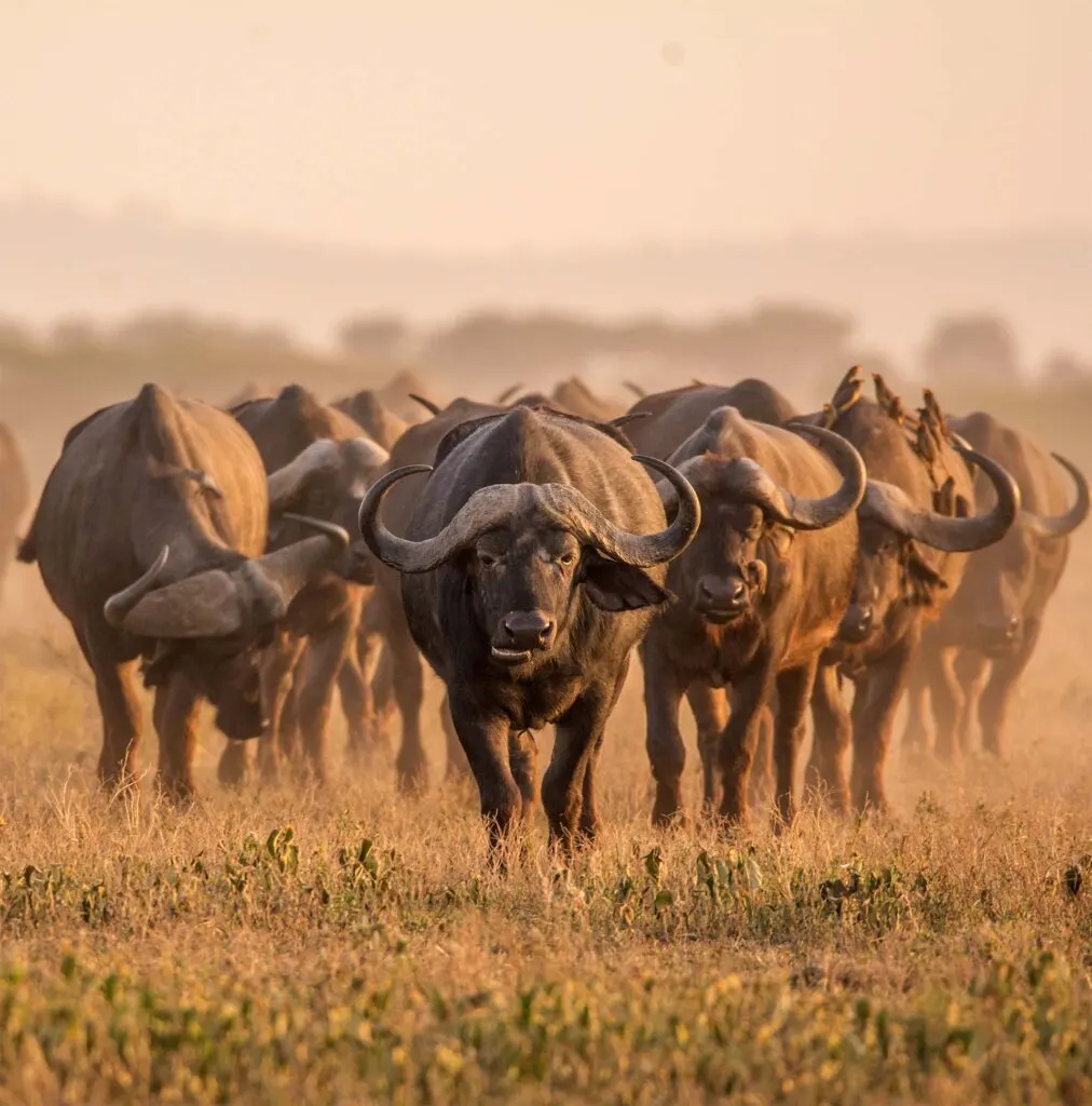 Arusha National Park