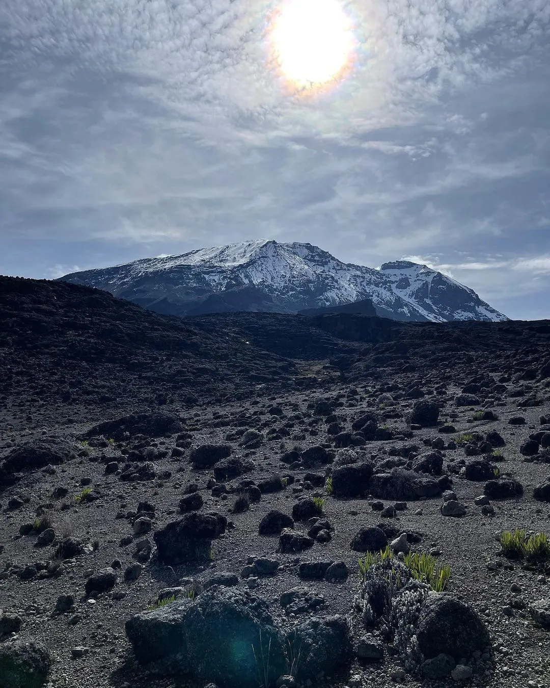 8 Days Of Mount Kilimanjaro Trekking – (Marangu Route) With Duma Classic Tours