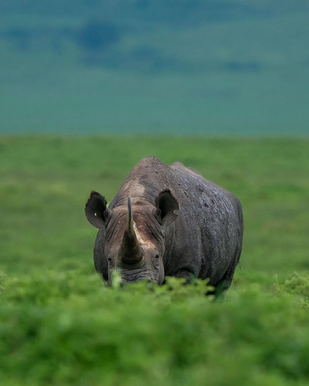 Ngorongoro Conservation Area