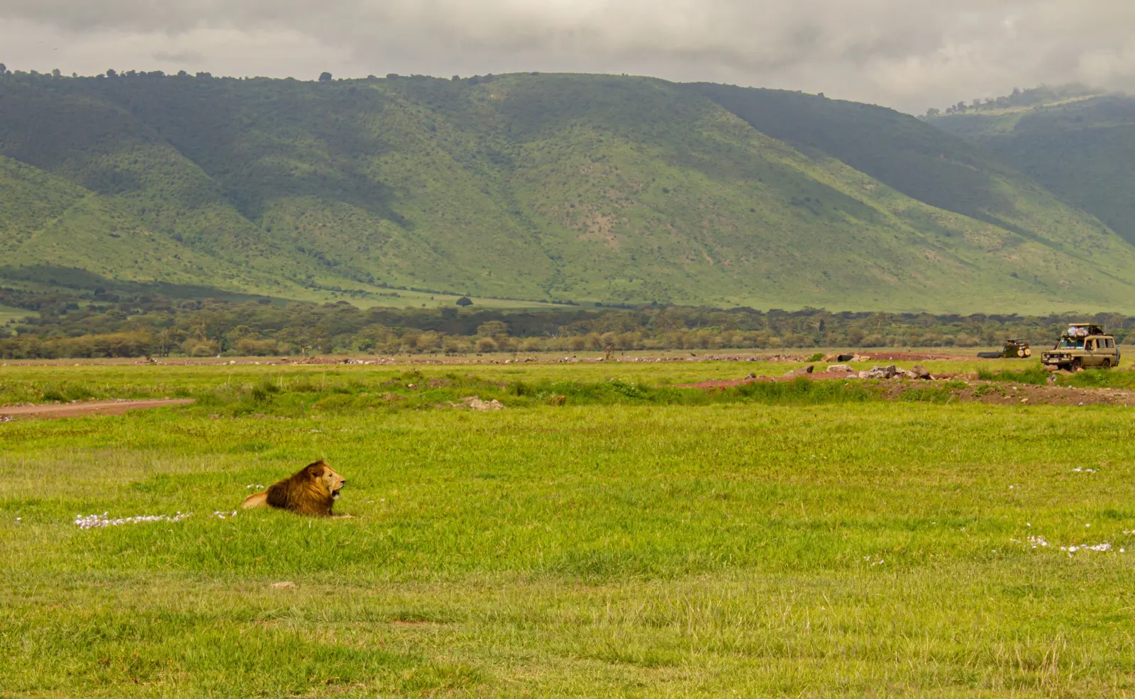 6 Days 5 Nights Tanzania Luxury Safari